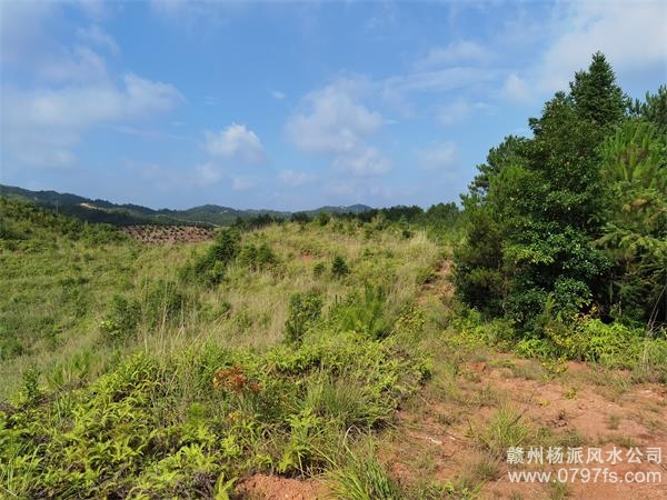 西城区带着徒弟上山学杨公风水现场操作