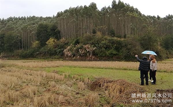 西城区陈老师带着爱徒寻龙点穴